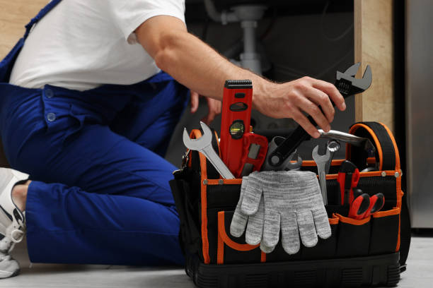 Best Toilet Repair Services  in Herlong, CA